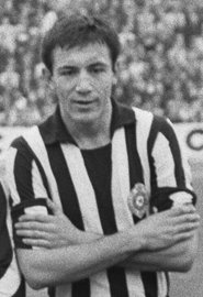 Branko Babović