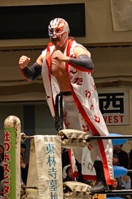 Masaki Hori