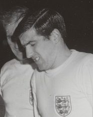 Terry Raven