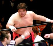 Shinya Kashima