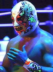 Guerrero Maya Jr