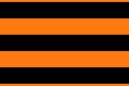 Ribbon Ooi