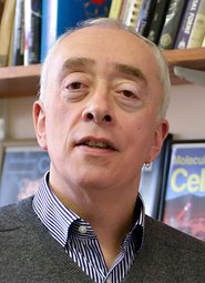 Laurence Pieau