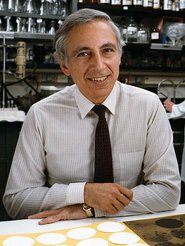 Robert Gallico