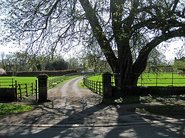 Keld Holm