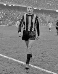 Aurelio Malfa