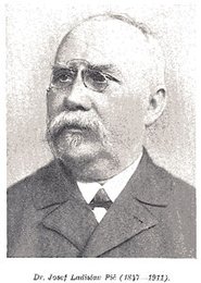 Josef Vaidiš