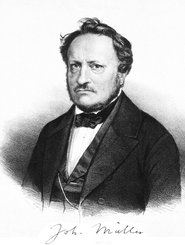 Johannes Peyer