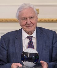 David Arlen