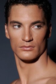 Fabrice Calmels