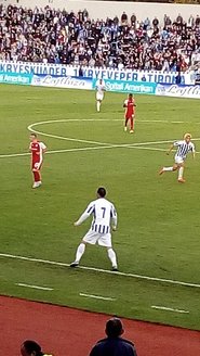 Gil Mandelik