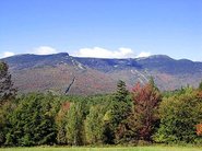 Monte Mansfield