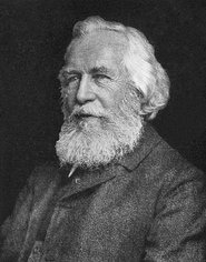 Ernst Hagen