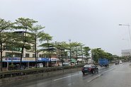 Pingting Zang