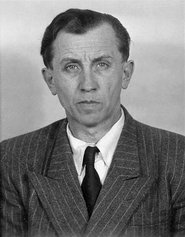 Josef Pavelka