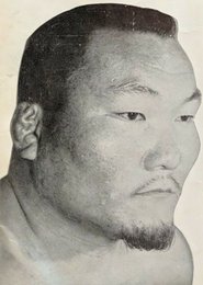 Mitsu Arakawa