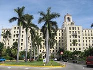 Havana Joy
