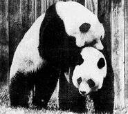 Ling Mung