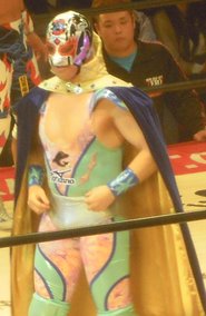 Super Delfin