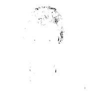 Chiel Montagne